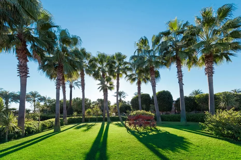 Miracle Resort Hotel