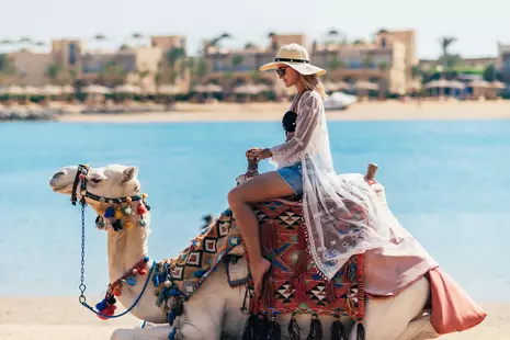 The Desert Rose