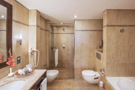 Khalidiya Palace Rayhaan Hotel By Rotana