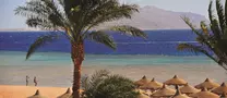 Baron Palms (Adults Only 16+)