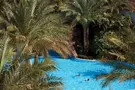 Baron Palms (Adults Only 16+)