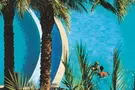 Baron Palms (Adults Only 16+)