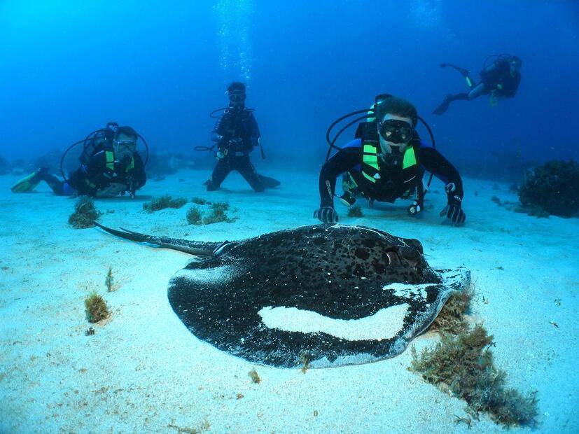 La Pirogue Mauritius