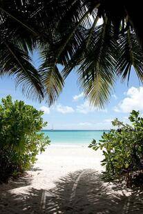 Acajou Beach Resort
