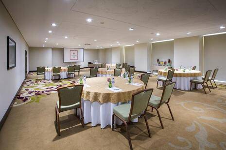 The Tower Plaza Hotel Dubai (Ex. Millennium Plaza Hotel)