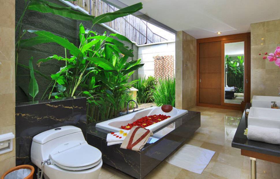 Abi Bali