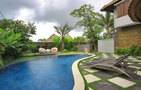Abi Bali