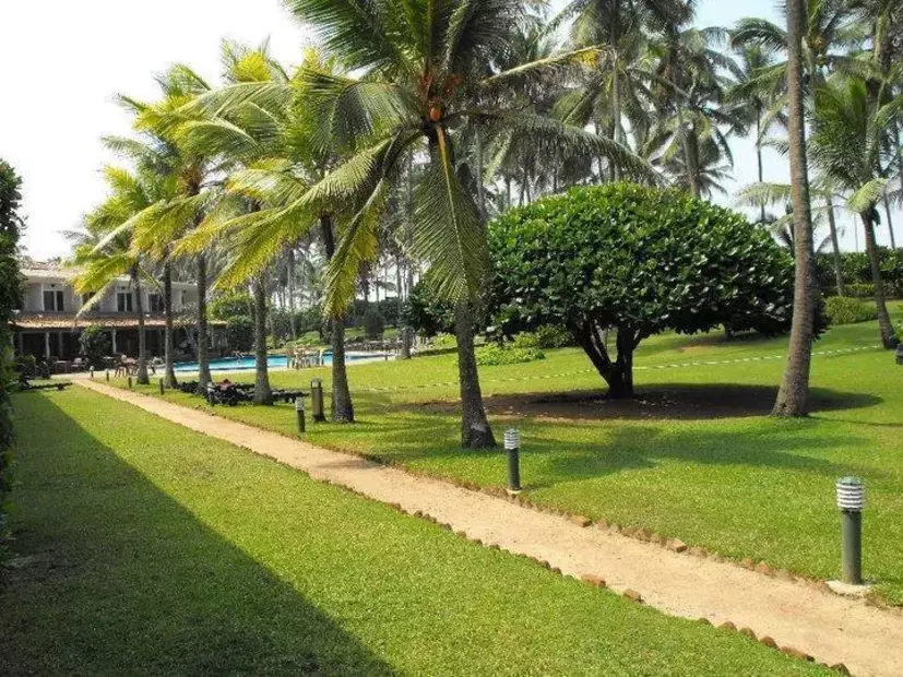 Palm Village Hotel