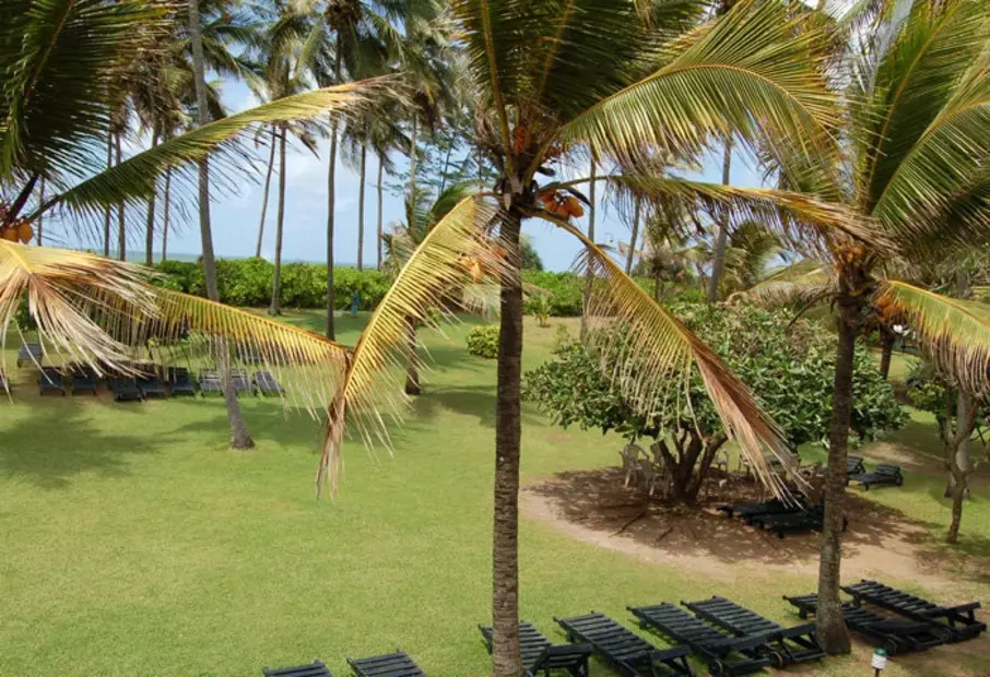 Palm Village Hotel