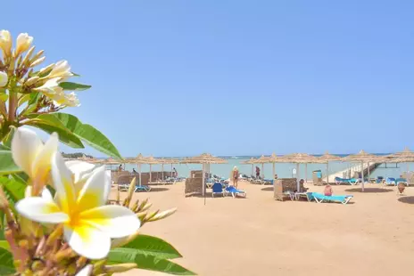 Jasmine Palace Resort