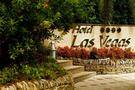 Las Vegas Hotel