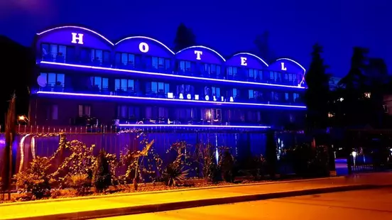 Гостиница Магнолия