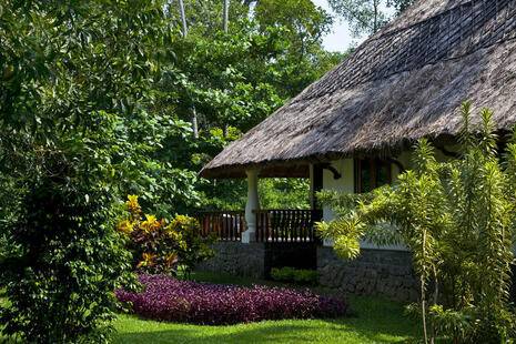 Carnoustie Ayurveda & Wellness Resort