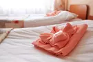 Гостиница Руна