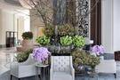 The Address Boulevard Dubai