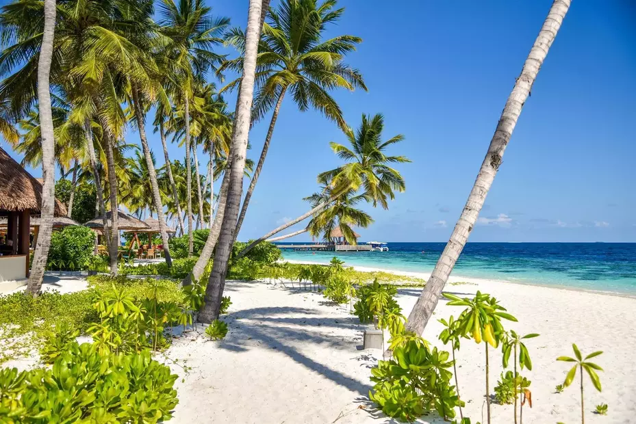 Reethi Faru Resort