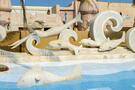 Palma Beach Resort And Spa
