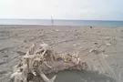 ГД Руслан И Джульетта