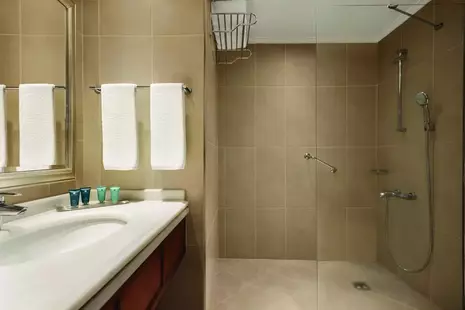 Wyndham Grand Kayseri (Ex. Hilton Kayseri)
