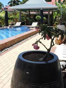 Villa Charme De L'Ile (Adults Only 12+)