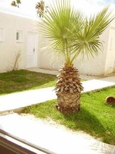 Hotel El Andalous