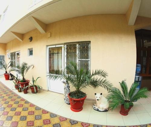 Отель Анастасия