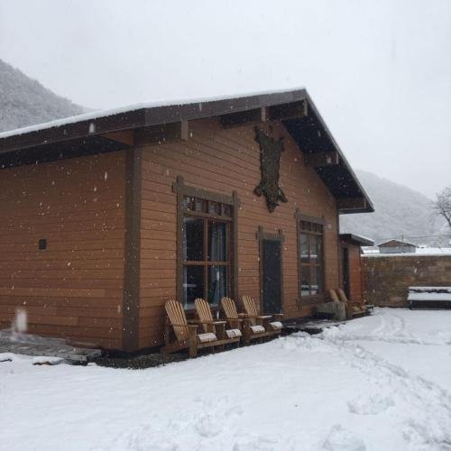 ГД Медвежий Дом