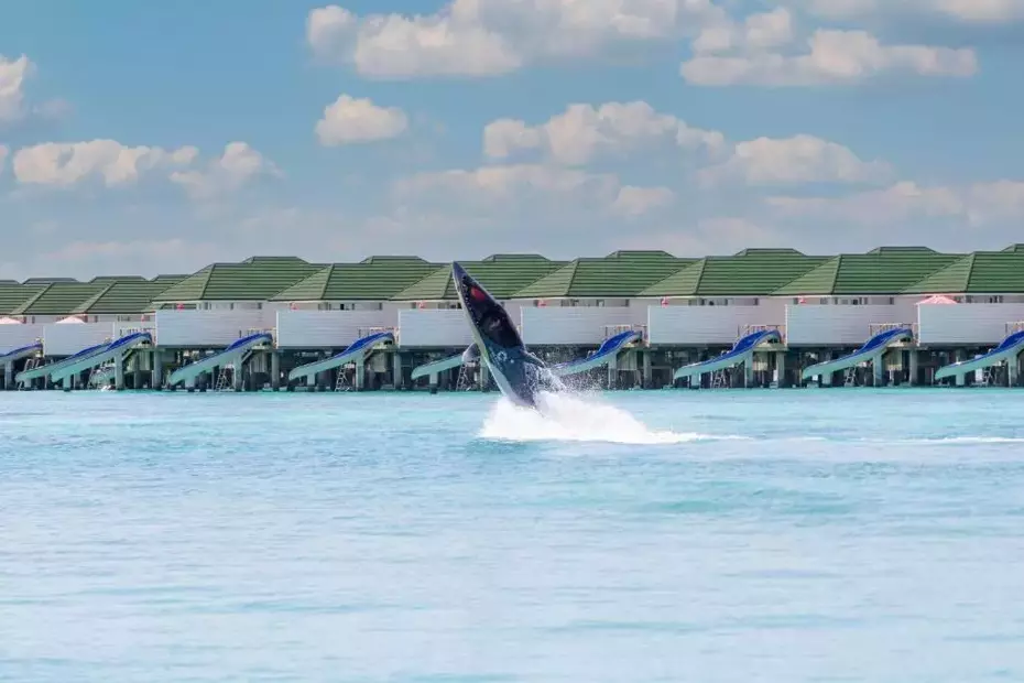 Siyam World Maldives