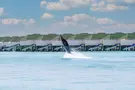 Siyam World Maldives