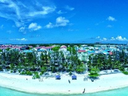 Planktons Beach
