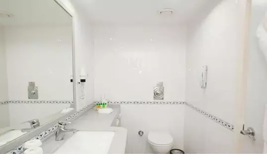 Holiday Inn Istanbul City, an IHG Hotel