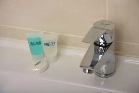 Шагала