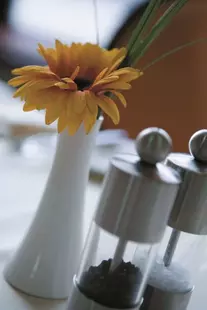 Radisson Hotel