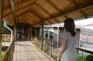 Asia Mountains 1