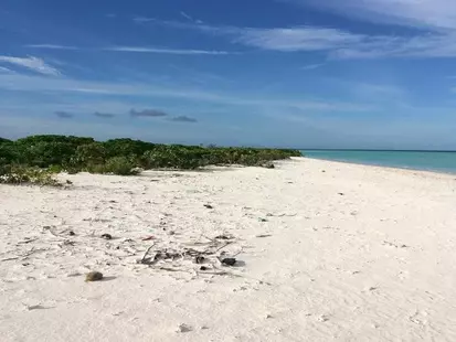 Rasdhoo Coralville