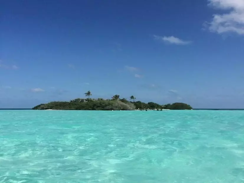 Rasdhoo Coralville