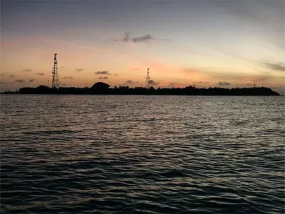Rasdhoo Coralville