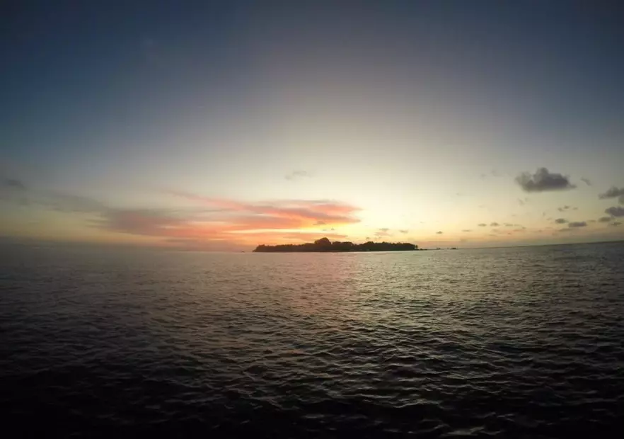 Rasdhoo Coralville