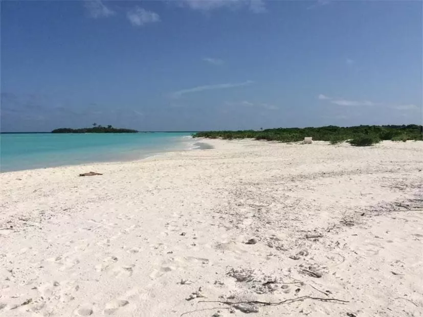 Rasdhoo Coralville