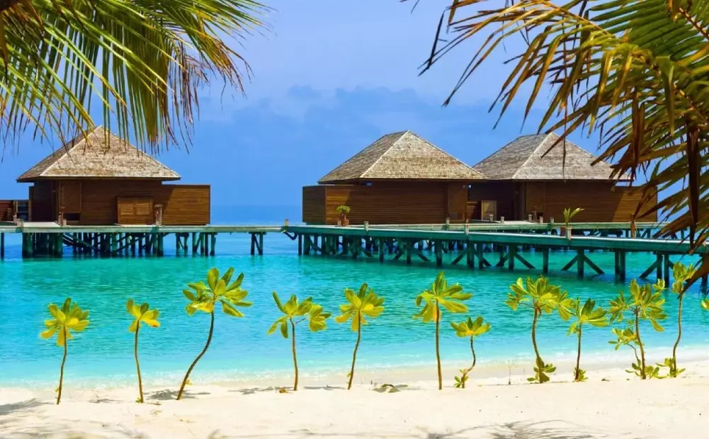 Rasdhoo Coralville
