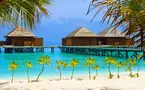 Rasdhoo Coralville