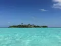 Rasdhoo Coralville