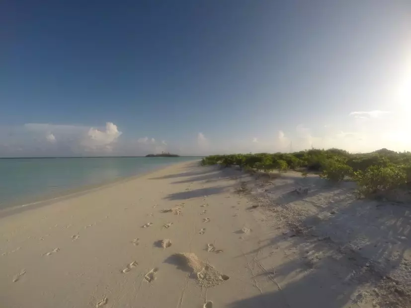 Rasdhoo Coralville