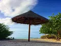 Rasdhoo Coralville