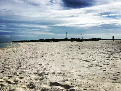 Rasdhoo Coralville