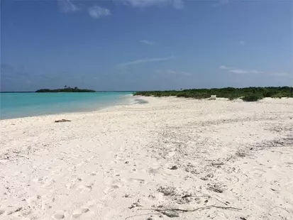 Rasdhoo Coralville