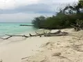 Rasdhoo Coralville
