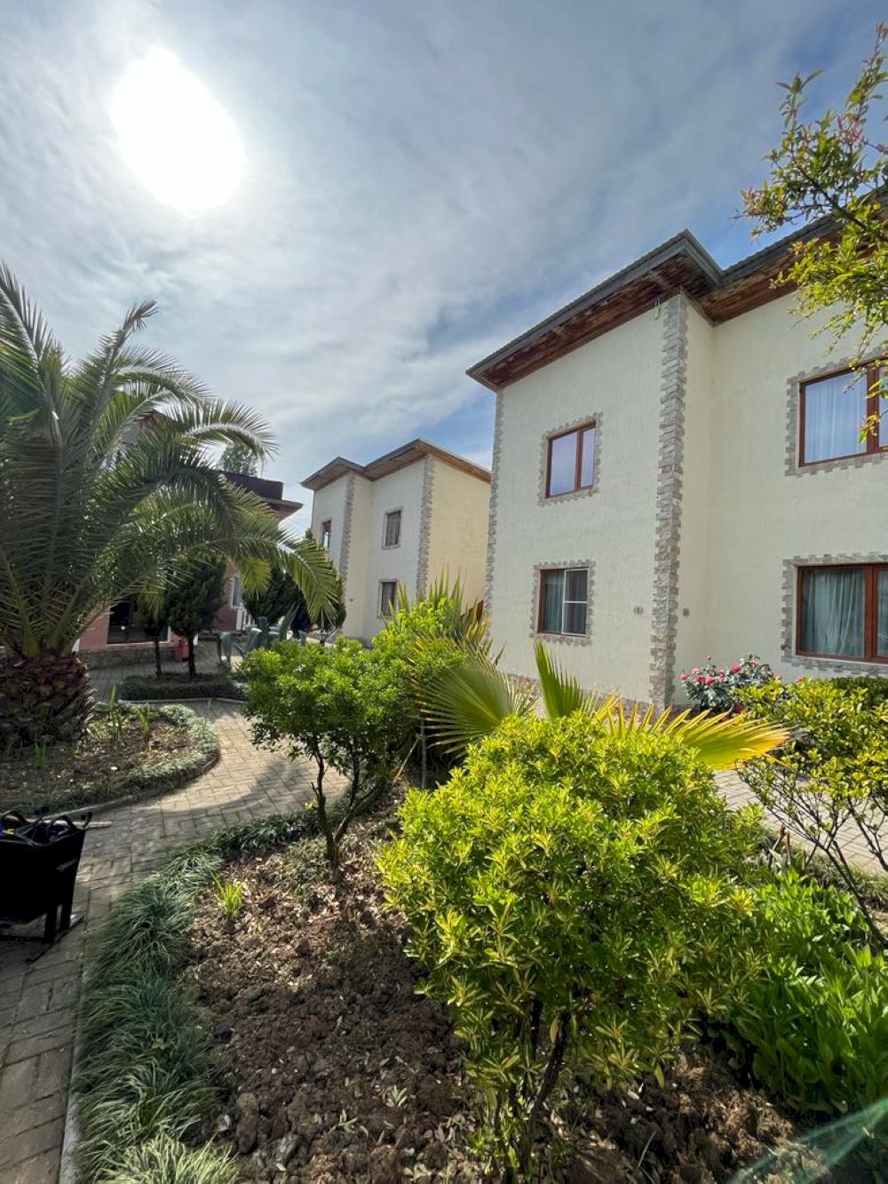 Дени Дельмар