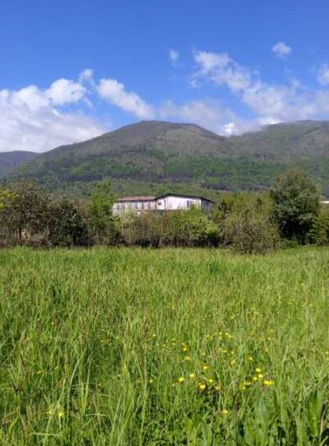 Гостевой Дом Уют В Гагре