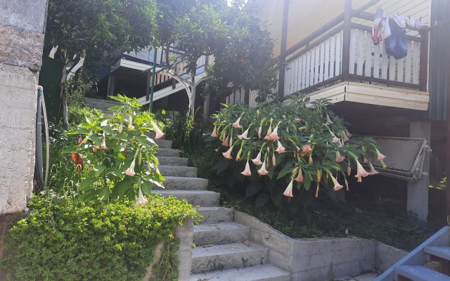 Гостевой Дом Мандариновый Рай